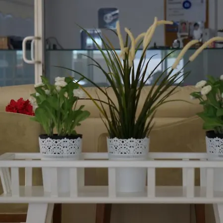 酒店 海洋酒店 *